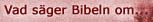 Vad s�ger Bibeln om...