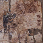 mir024